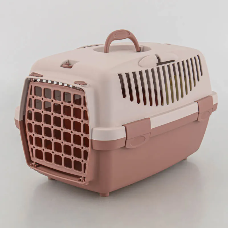 Votre chat voit la vie en rose