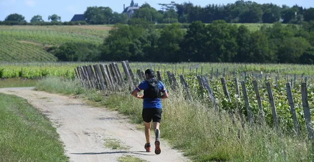 photo  la course « pour le plaisir de courir » a lieu ce samedi 28 mars.  &copy;  archives co 