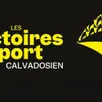 photo  jusqu’au 25 mars 2026, le conseil départemental du calvados, en partenariat avec le cdos (comité départemental olympique et sportif du calvados), ouest-france et ici normandie, vous propose de voter pour désigner la sportive ou le sportif de l’année, en catégorie individuelle, ainsi que l’équipe de l’année. 