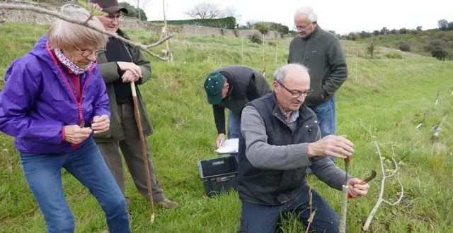 photo  séances de greffage dans le verger de la nature et de la biodiversité avec les commentaires de jacques dupoiron de l’association les amis du verger.  &copy;  co 