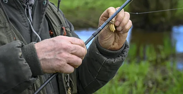 photo  l’ouverture de la pêche se profile, un événement attendu.  &copy;  vincent michel / ouest-france 