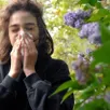 photo  avec le printemps, les allergies font leur retour. 