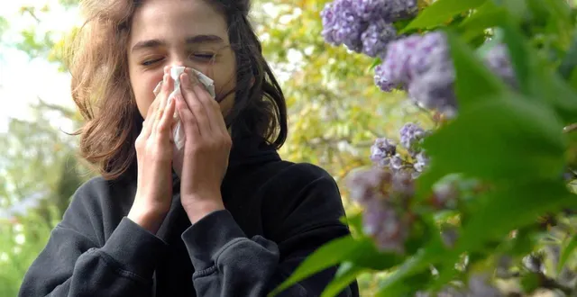 photo  avec le printemps, les allergies font leur retour.  &copy;  archives courrier de l’ouest – marie delage 