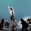 photo  deux ballets interprétés par la compagnie chorégraphique de françois mauduit. 