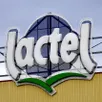 photo  lactel conserve sa place de marque de lait la plus vendue en france. 