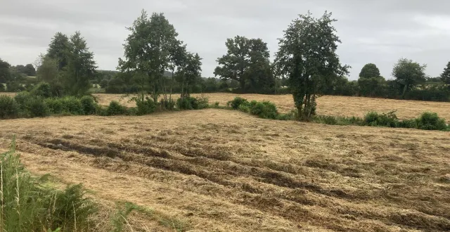 photo  la terre a été retournée jusqu’au pied des haies, et ces dernières ont été taillées dans la limite autorisée par la loi.  &copy;  anonyme 