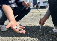 photo  de nombreuses petites pièces métalliques jonchent la chaussée de l’avenue bollée, en travaux. 