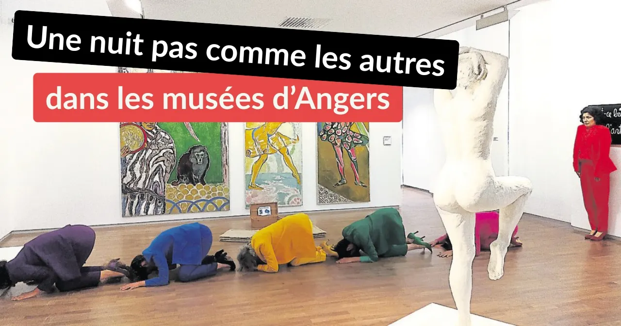photo nuit européenne des musées : une nuit pas comme les autres dans les musées d’angers &copy; © musée d’angers