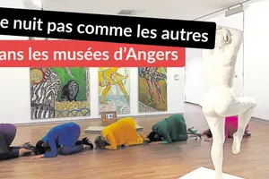 nuit européenne des musées : une nuit pas comme les autres dans les musées d’angers