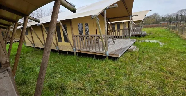 photo  tentes lodges, cabanes campeur, chalets sur pilotis… 45 logements du camping de la dive, à saint-michel-en-l’herm, avaient été mis aux enchères le 3 mars 2025.  &copy;  archives ouest-france 