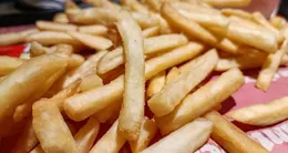 Info insolite  environ 3,5 tonnes de frites surgelées non déclarées ont été découvertes dans des camions. 