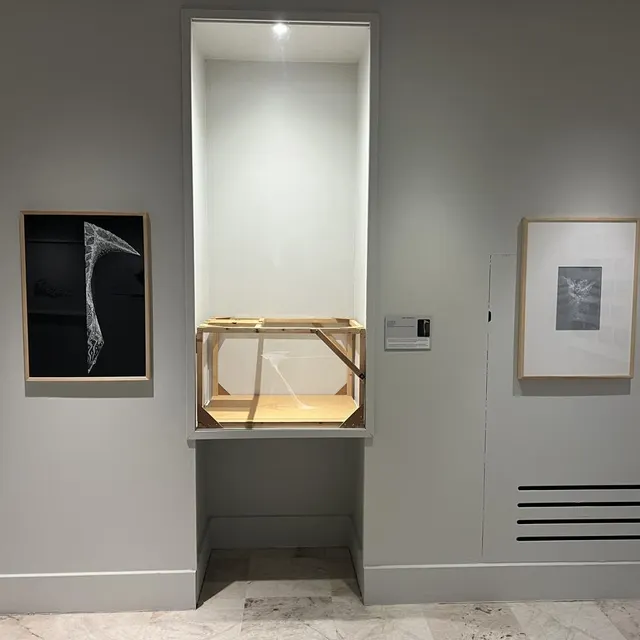 L’exposition présente également des œuvres en cours de réalisation. Ouest-France photo l’exposition présente également des œuvres en cours de réalisation. © ouest-france