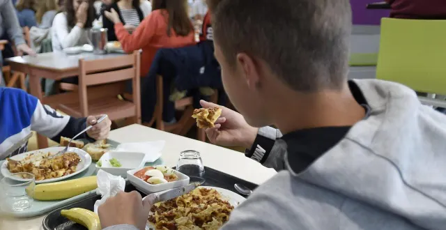 photo  la plateforme résalis, basée à la crèche, duplique son modèle dans la vienne.  &copy;  archives co - marie delage 