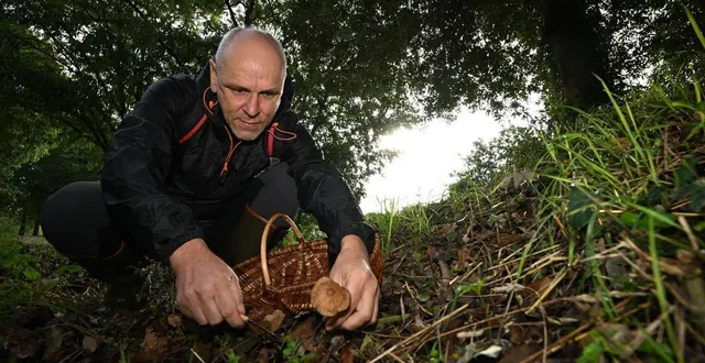 photo  le congrès annuel de la fédération des associations mycologiques de l’ouest (famo) se déroule les 29 et 30 mars à angers.  &copy;  josselin clair 