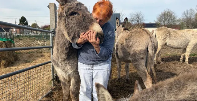 photo  michelle royère élève plus d’une quarantaine d’animaux chez elle à la ferté-en-ouche (orne). en mars 2026, elle a été victime d’une arnaque sur internet en voulant acheter du fourrage pour les nourrir.  &copy;  ouest-france 
