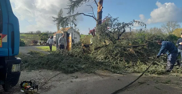 photo  la branche é été découpée en tronçons mais un câble est toujours à terre..  &copy;  le maine libre 