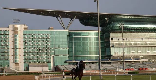 photo  cheval à l’entraînement cette semaine à l’hippodrome de meydan, théâtre du « super saturday », la réunion hippique de l’année à dubaï.  &copy;  epa/maxppp 