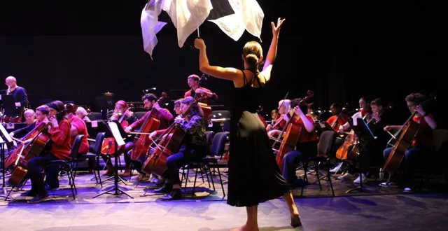 photo  un spectacle qui invite à se dépasser…  &copy;  eea django-reinhardt 