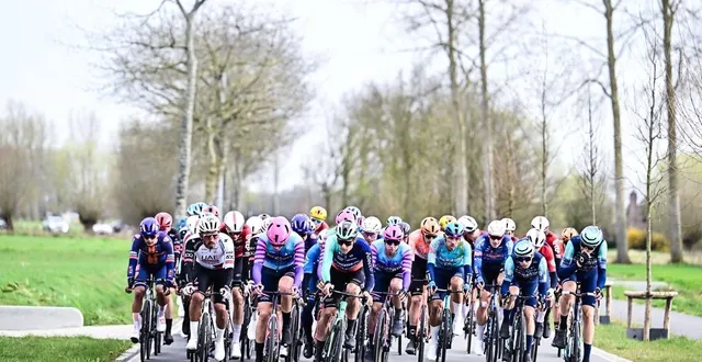 photo  un site de paris sportifs a ouvert une cote sur un coureur décédé depuis 2019.  &copy;  maarten straetemans / belga via afp 