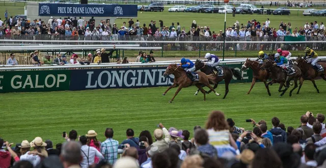 photo  le grand prix de diane, dans l’oise, le 24 septembre 2025.  &copy;  stephane frances / afp 