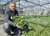 photo  damien froger, pépiniériste et horticulteur aux ponts-de-cé. 