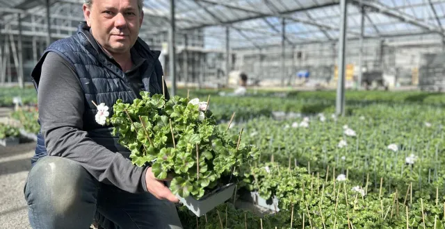 photo  damien froger, pépiniériste et horticulteur aux ponts-de-cé.  &copy;  co – emmanuel poupard 