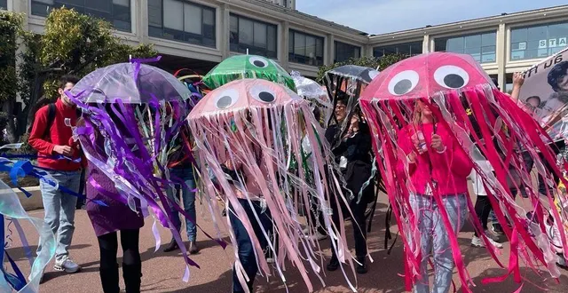 photo  l'an dernier, c'est ce groupe de méduses qui avait remporté haut la main notre concours !  &copy;  ouest-france 