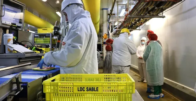 photo  les ateliers de l’unité dinde et poulet sur le site saint-laurent de ldc ont accueilli des visites lors du premier week-end des journées portes ouvertes des entreprises en pays sabolien, samedi 21 mars 2026.  &copy;  ouest-france 