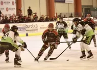 photo  les dogs vont jouer un match décisif à glisseo pour se qualifier en demi-finales. 