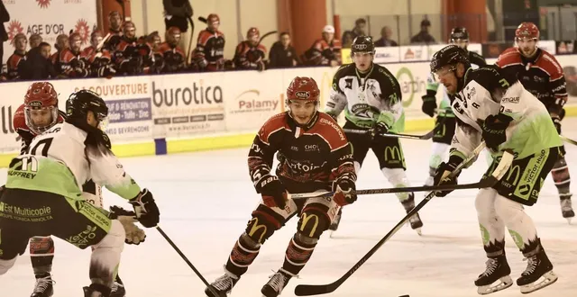 photo  les dogs vont jouer un match décisif à glisseo pour se qualifier en demi-finales.  &copy;  melvyn augas 