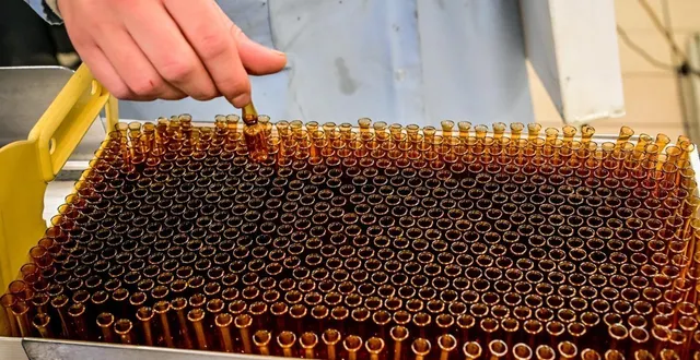 photo  la société sotapharm, dirigée depuis 2021 par audrey chamorot, rencontre des difficultés en ce mois de mars 2026.  &copy;  photo le maine libre -yvon loué 