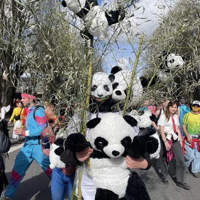 photo sébastien, 28 ans, et ses innombrables pandas, rencontrés aux fossés saint-julien. « je continue à venir par nostalgie. »  ©  ouest-france