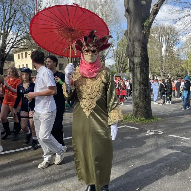 photo qui a dit que le carnaval était réservé aux étudiants ? cette mystérieuse créature parcourt les rues de la ville, seule et en silence. d’un signe de la main, elle fait comprendre qu’elle ne prononcera pas un seul mot pour répondre à nos questions.  ©  ouest-france