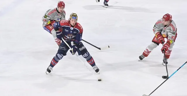 photo  orrin centazzo, attaquant des ducs : ici face à grenoble à l’iceparc en saison régulière.  &copy;  aubinaud sébastien 