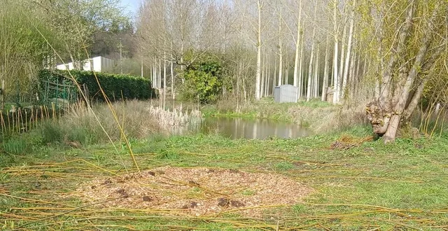 photo  la cabane végétale installée par les écoliers a été entièrement détruite.  &copy;  le maine libre 