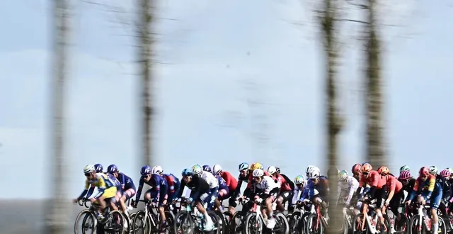 photo  michael zarate a été victime d’une chute dans les vingt derniers kilomètres de la settimana coppi e bartali, jeudi 26 mars.  &copy;  maarten straetemans / belga via afp 