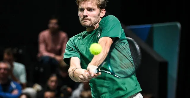 photo  david goffin va mettre un terme à sa carrière professionnelle.  &copy;  matthieu mirville / dppi via afp 