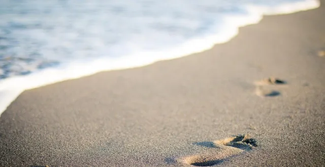 photo  des boulettes de viande piégées ont été découvertes sur des plages d’anglet. photo d’illustration.  &copy;  pexels / pixabay 