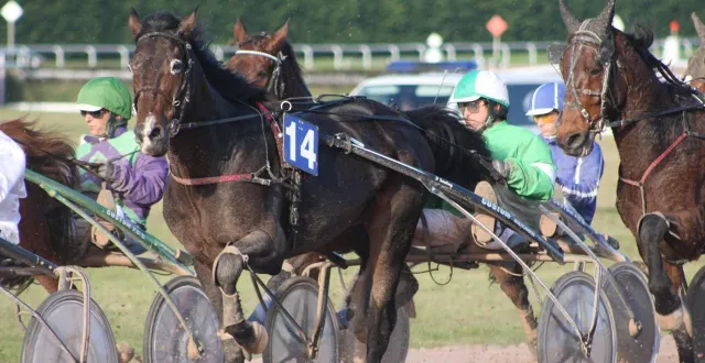 photo  dimanche 29 mars 2026, neuf courses de trot sont organisées à l’hippodrome du pays d’argentan.  &copy;  archives ouest-france 