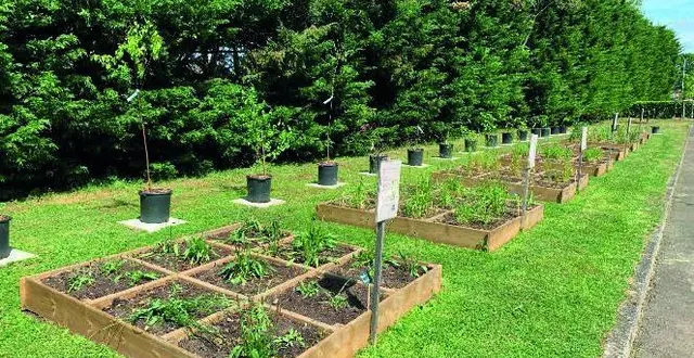 photo  le pollinarium sentinelle est installé au cimetière sud du mans.  &copy;  la ville du mans 