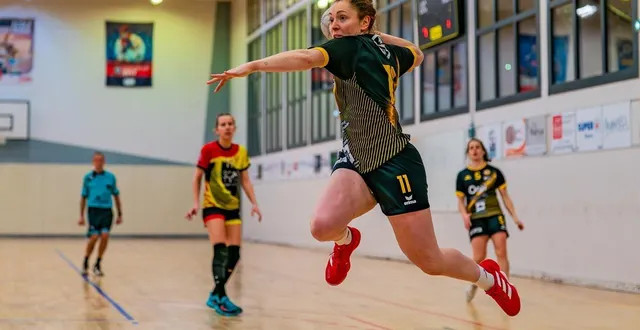 photo  audrey pineau a inscrit 15 buts face à joué-lès-tours, ce samedi 28 mars.  &copy;  archive arnaud despelchain 