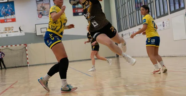 photo  mamers a pris le dessus sur joué-lès-tours et devient champion de son groupe de n3.  &copy;  le maine libre 