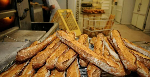photo  les concours récompensaient notamment les meilleures baguettes traditions. deux boulangeries de maine-et-loire s’y sont illustrées.  &copy;  archives ouest-france. 