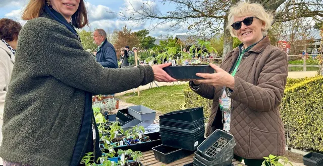 photo  angers, terra botanica, le 29 mars 2026. marie fuzilleau (à droite) a été à la fête sur son stand de plants de tomates anciennes.  &copy;  co 