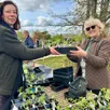 photo  angers, terra botanica, le 29 mars 2026. marie fuzilleau (à droite) a été à la fête sur son stand de plants de tomates anciennes. 