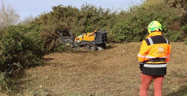 photo  à la demande conjointe des chasseurs regroupés en gic (groupement d’intérêt cynégétiques), sylvain georget, d’evoluvert, est intervenu en manipulant un robot débroussailleur sur un roncier.  &copy;  ouest-france. 