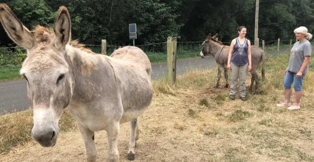 photo  mathilde palerm et marie-france brilhault, ânières installées respectivement à saint-rémy-la-varenne et chalonnes-sur-loire.  &copy;  co 