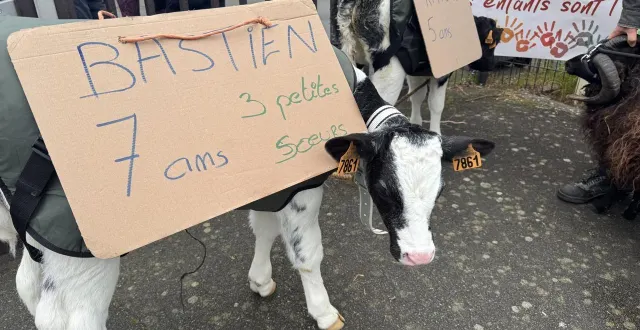 photo  des animaux ont été déployés à l’école publique arc en ciel, hier matin, pour protester contre une fermeture de classe prévue à la rentrée.  &copy;  ouest-france 