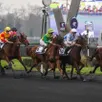photo joumba de guez, montée par éric raffin, lors de sa victoire sur le prix de cornulier 2025.