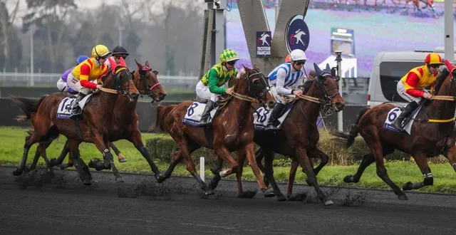 photo  joumba de guez, montée par éric raffin, lors de sa victoire sur le prix de cornulier 2025.  &copy;  bruno vandevelde - le trot 